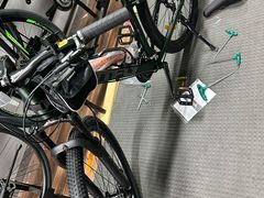 -道路口单车爱瓦士dahon大行