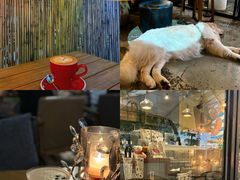 -咖法森林·咖啡  酒吧(天河店)