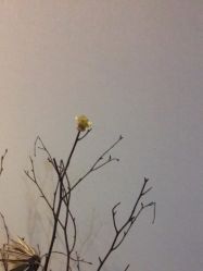 -盘子女人坊古装写真摄影(天津总店)