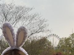 -合肥融创乐园