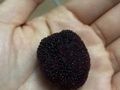 -乐乐鲜果(解放南路店)