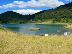 -武陵山森林公园