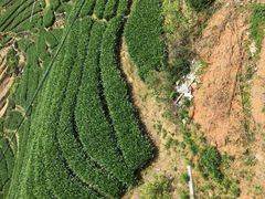 -春禾缘茶业(合生城邦四街坊店)