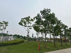 -上海山野camping·户外天幕烧烤·团建拓展营地