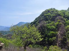 -大岭沟猕猴桃谷风景区