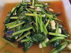 -Green Tree Rest. & Pub