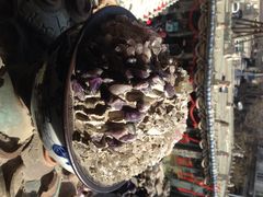 iphone_upload_pic-瓷房子