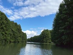 -上海海湾国家森林公园
