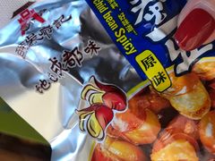 -绵阳南郊机场