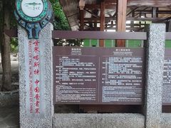 -普者黑风景区-青龙山