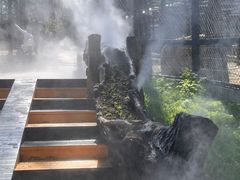 -横道河子东北虎林园
