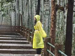 -敬亭山风景名胜区