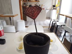 -茶是一枝花泡茶店