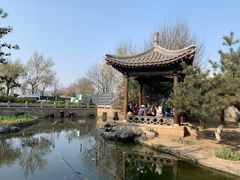 -三里河公园