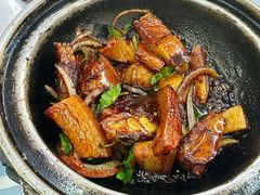 瓦煲干肉骨茶-新记肉骨茶