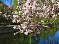 -海棠花溪(元大都城垣遗址公园)