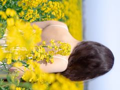 -西京湾花海