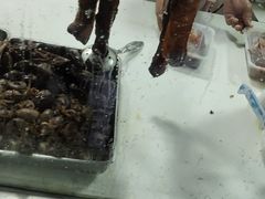 -永兴烧腊