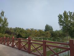 -大兴滨河森林公园