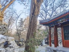 -北京动物园-畅观楼