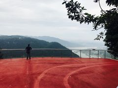 -铁山坪森林公园