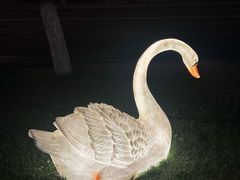 -布尔津河堤夜市