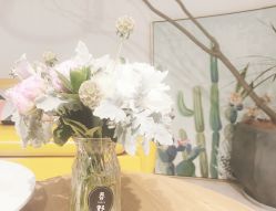 -杨丹国际美学肌研所