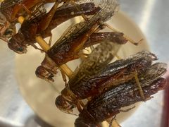 -小寒羊烧烤(凯瑞时代大厦店)