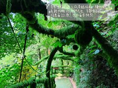 -荔江湾景区