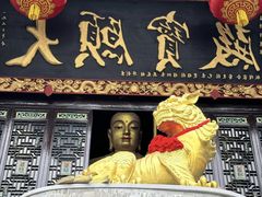 -九华山风景区