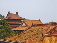 -北陵公园