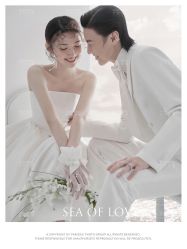 -巴黎经典婚纱摄影PARISSIC