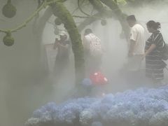 -灵栖洞天