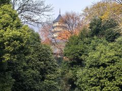 -灵谷景区
