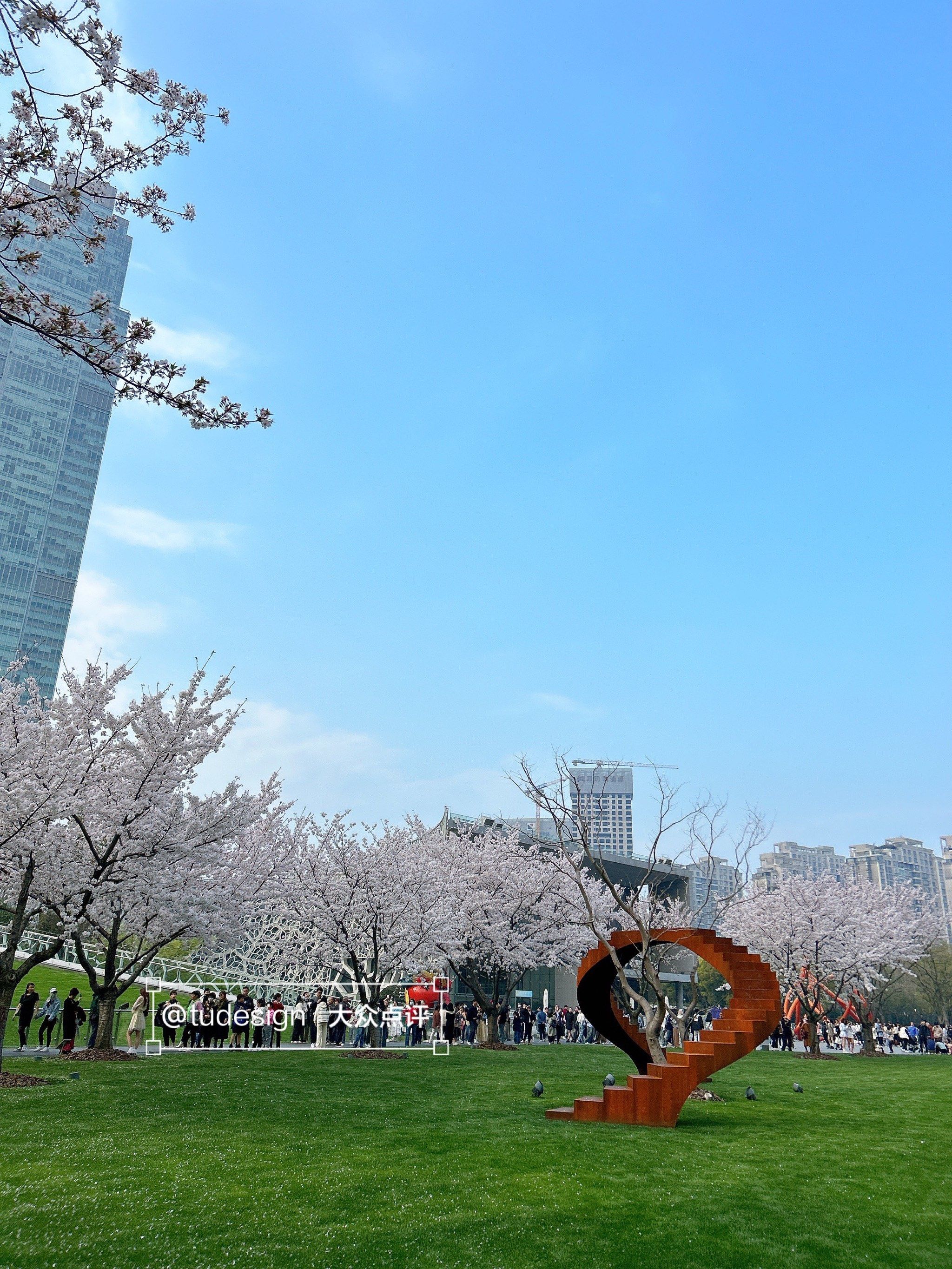 静安雕塑公园🌸樱花季