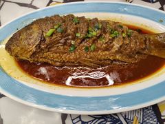 -山西派(桥东街店)