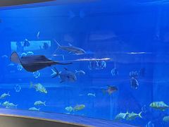 -威海华夏城景区