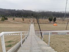 -佛手湖郊野公园