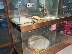 -FAELING PETS美天灵宠物(富力广场店)