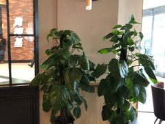 -COSTA COFFEE(哈尔滨凯德学府店)