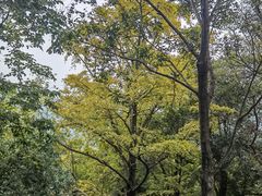 -金堂县云顶石城风景区