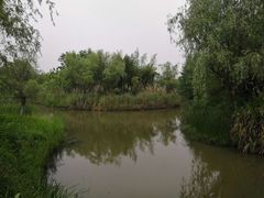 -梁鸿国家湿地公园