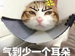 -九里香奶茶果汁(碧湖店)