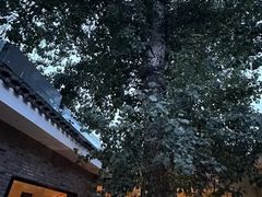 -自如ZSPACE四合院艺术餐厅