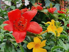 -烈士陵园(地铁站)