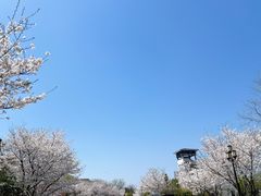 -湘湖金融镇