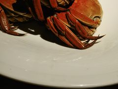-黄山老妈·土菜(碧桂园店)