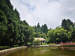 -庐山风景区花径公园