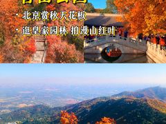 -北京石刻艺术博物馆