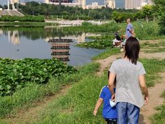 -门城湖公园